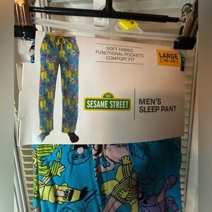 Sesame Street Pajama Pants-Mens but can be Unisex Large & 2X